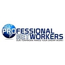 Professional Networkers logo