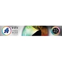 Professional Print Consulting logo
