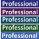 Professional Visa Services Limited logo