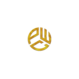 PROFITWISE CONSULTANTS LTD logo