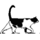 Progressive Veterinary Services