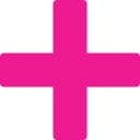 Project Plus Services logo