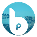 Project Bruce Charitable Trust logo