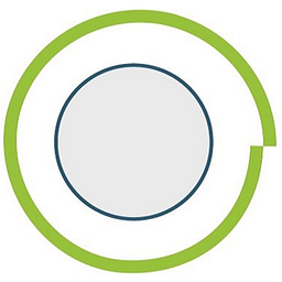 Project: Vision, Inc. logo