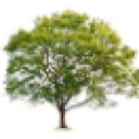 Promark Landscaping, Inc. logo