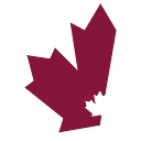 Promeric Technologies Inc logo