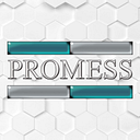 Promess Inc