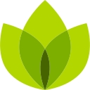 Prominent Financial Services Limited logo