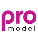 Promodel Model Management