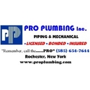 Pro Plumbing Inc. logo