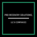Pro Recovery Solutions, Llc & Companies logo