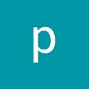 Professionals In The City logo