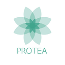 Protea