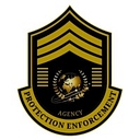 Protection Enforcement Agency LLC