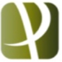Proton Security logo