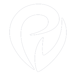 Provectus IT, Inc. logo