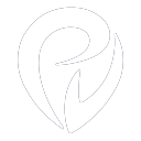 Provectus logo — Product Designer job on DevsUnite