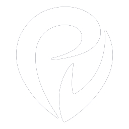 Provectus logo
