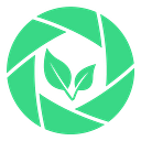 Proveye logo