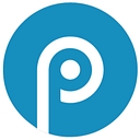 Providersoft Llc logo
