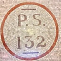 PS 132 CONSELYEA SCHOOL (THE) logo