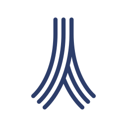 Logo Paris School of Business