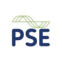 Pse Power logo
