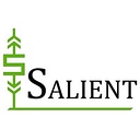 Psi Control Solutions logo