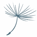 psychogoed.nl logo
