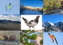 Ptarmigan Property Services Inc logo