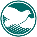 Physical Therapy Orthopaedic Specialists Inc. (Ptosi) logo