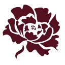 Progressive Talent Solutions