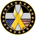 Ptsdheroes.Org logo
