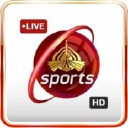 ptvsportstv.com.pk logo