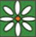 Public Markets, Inc. logo