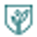 Pueblo Nuevo Education and logo