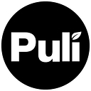 Puliwear Global logo