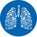 Id Do Brasil Logistica logo