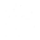 Pulse Systems Ltd logo
