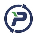 Paradigm Systems logo