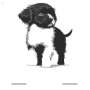 Puppy Community Pet Mercantile