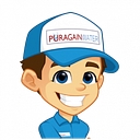 Favicon of Puragain Water