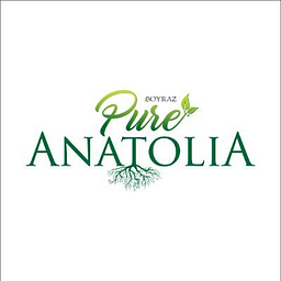 Pure Anatolia LLC logo