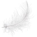 Pure Concierge Cleaning Co logo