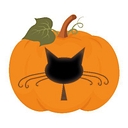 PureKat Consultancy logo