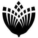Pureparima