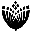 Pure Parima logo