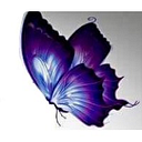 Purple Butterfly