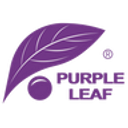 PURPLE LEAF BE