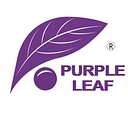 Purple Leaf CA logo